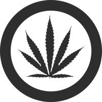Sativa